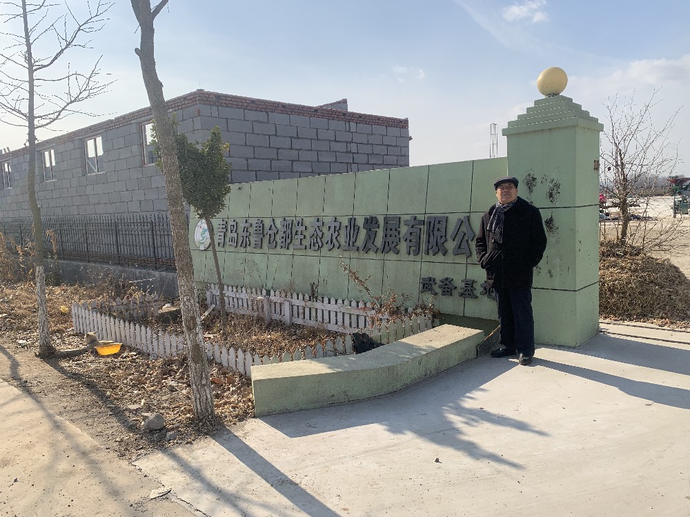 “东鲁仓都”乙已八策  王才路